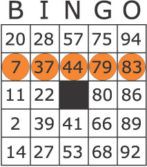 Bingo Spielanleitung